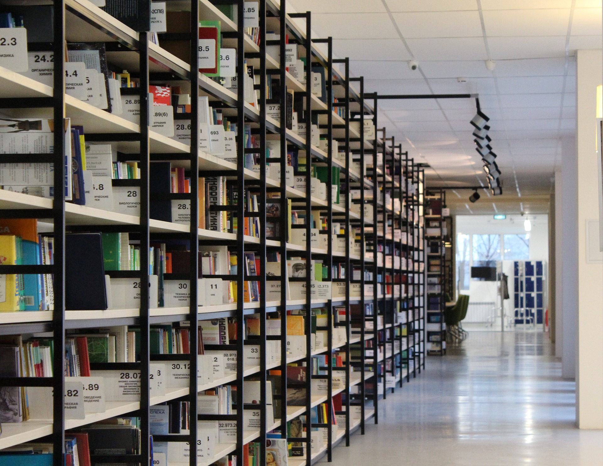 Shelves in a library